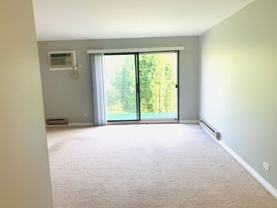 Lemont State Street Apartments - Photo 1 of 1