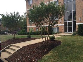 Wayne Street Apartments - Photo 1 of 1