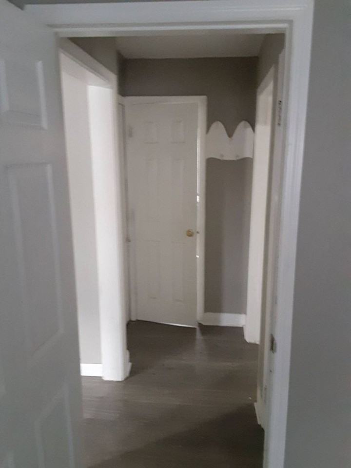 1161 Lincoln Ave - Photo 4 of 16