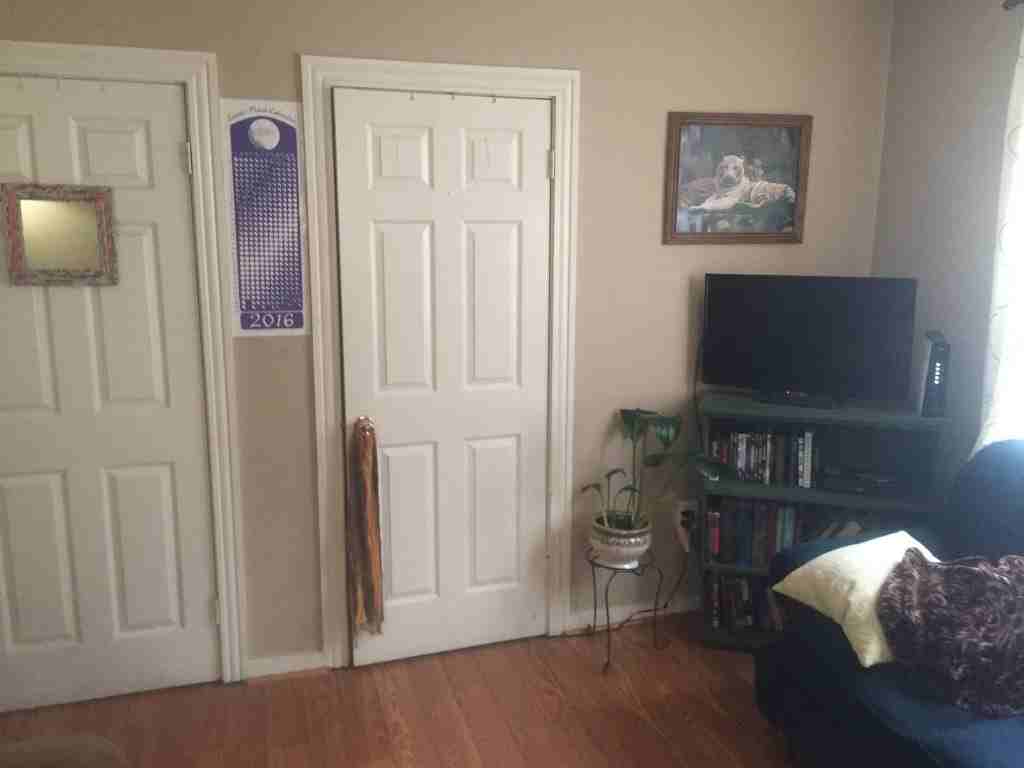 113 Maple Street - Photo 6 of 22