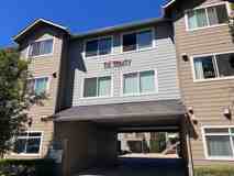 Trinit - Photo 1 of 1