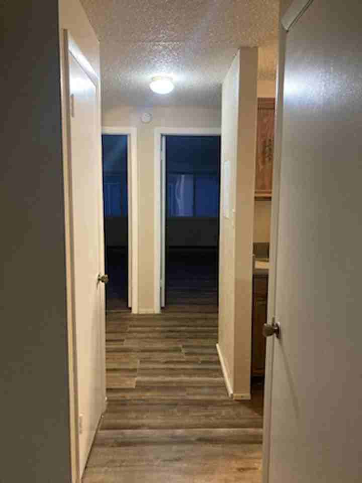 4429 Valverde Ct - Photo 4 of 8