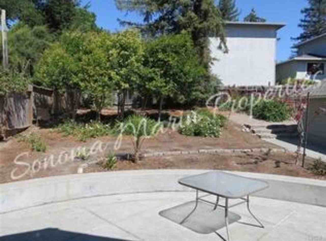 314 Bodega Ave - Photo 5 of 22