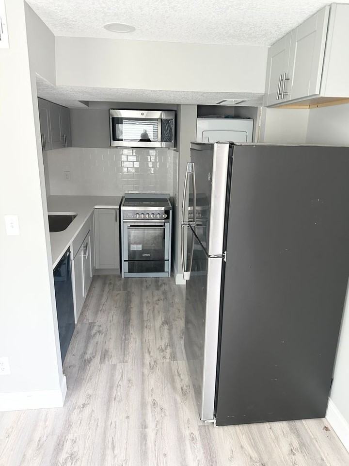 Henry Louis - Photo 5 of 6