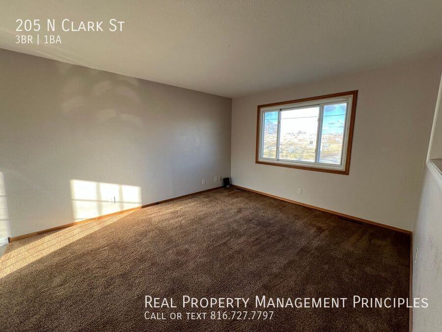 205 N Clark St - Photo 2 of 17