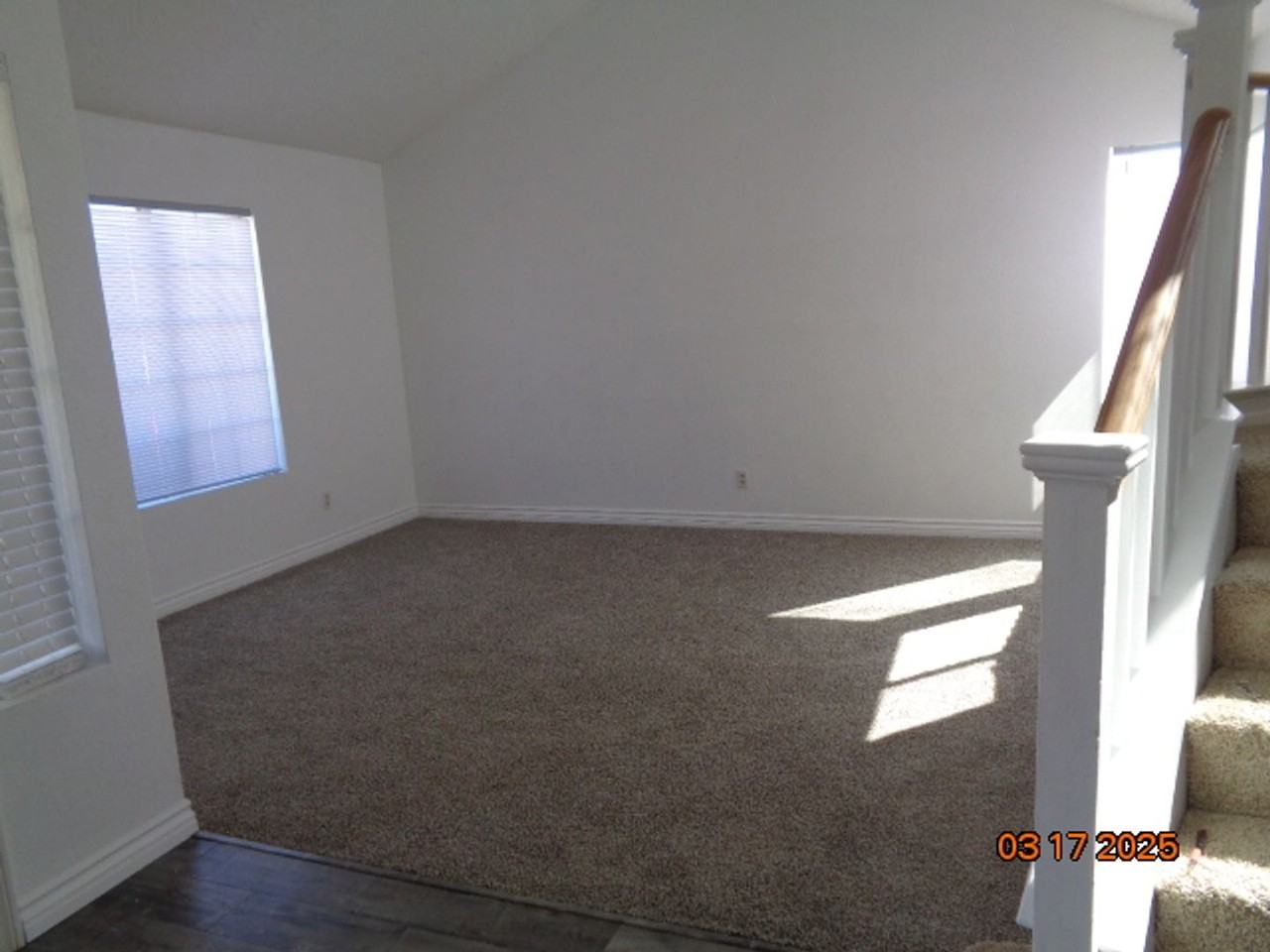 1338 Safari Ct - Photo 3 of 20