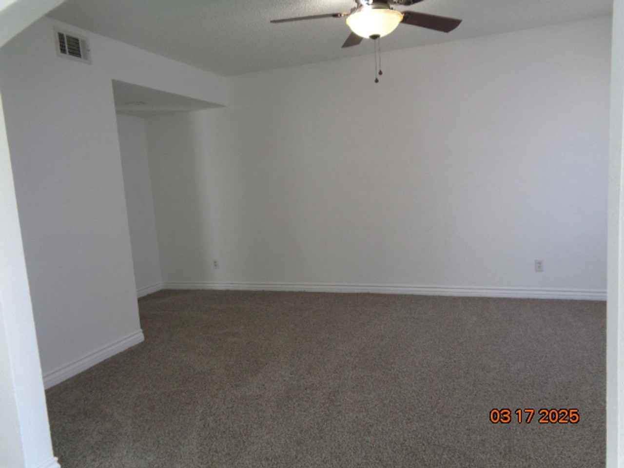 1338 Safari Ct - Photo 4 of 20