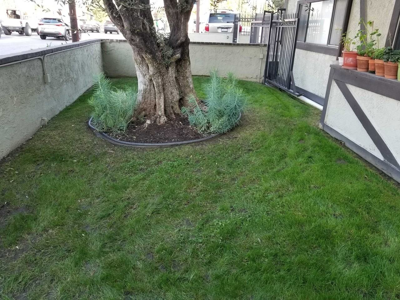 Moorpark St - Photo 2 of 32