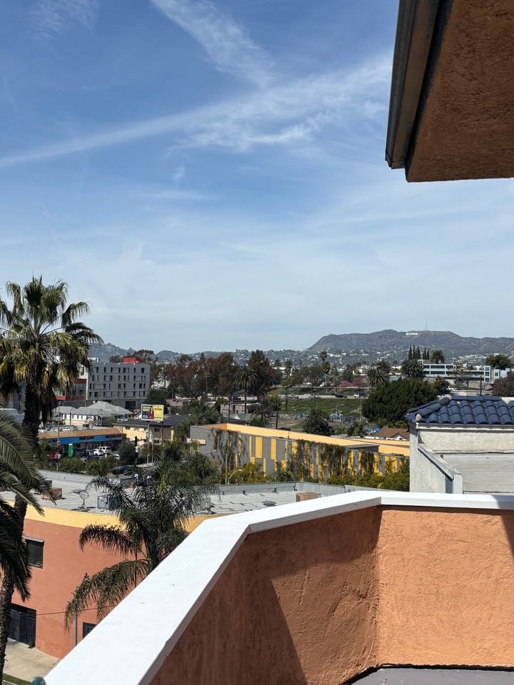 221 S Commonwealth Ave - Photo 4 of 24