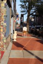 413 Broadway St #STEE - Photo 1 of 1