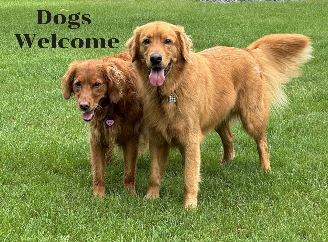 557 Westfield Way #L - Photo 3 of 19