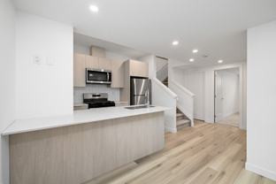 8664 77 St Nw Bsmt 2 #BS2 - Photo 1 of 1