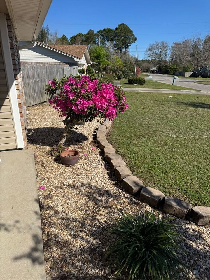 10926 Oak Valley Cir - Photo 3 of 27