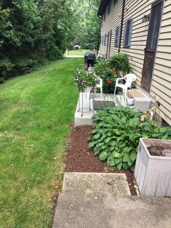 6019 Applecrest Ct - Photo 2 of 18