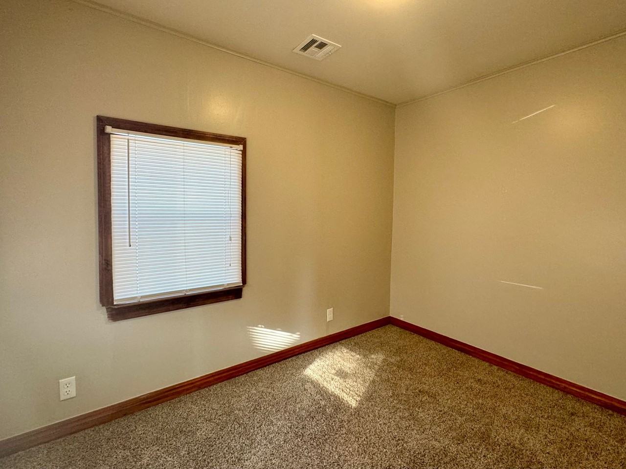 1040 S Sedgwick St - Photo 3 of 13
