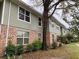 featured image of 231 Gene