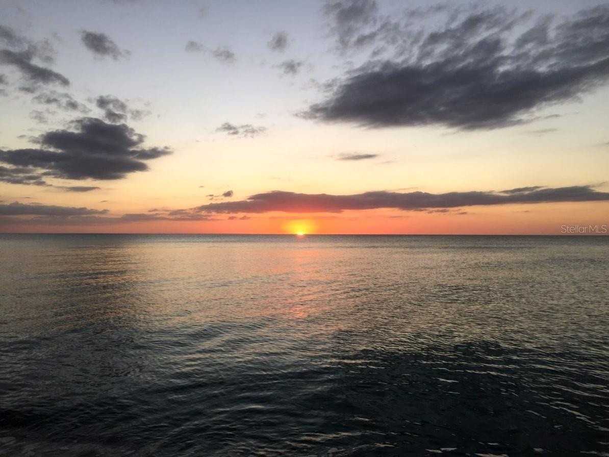 633 Alhambra Rd #703 - Photo 3 of 15