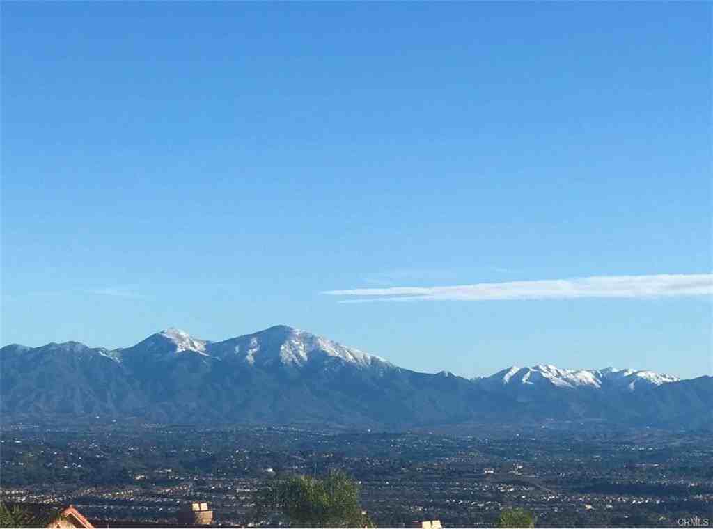 29446 Christiana Way - Photo 3 of 4