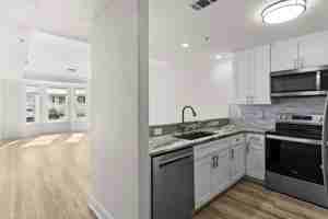 featured image of 251 Mattie M Kelly Blvd #105