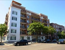 6914 41st Ave #302 - Photo 1 of 1