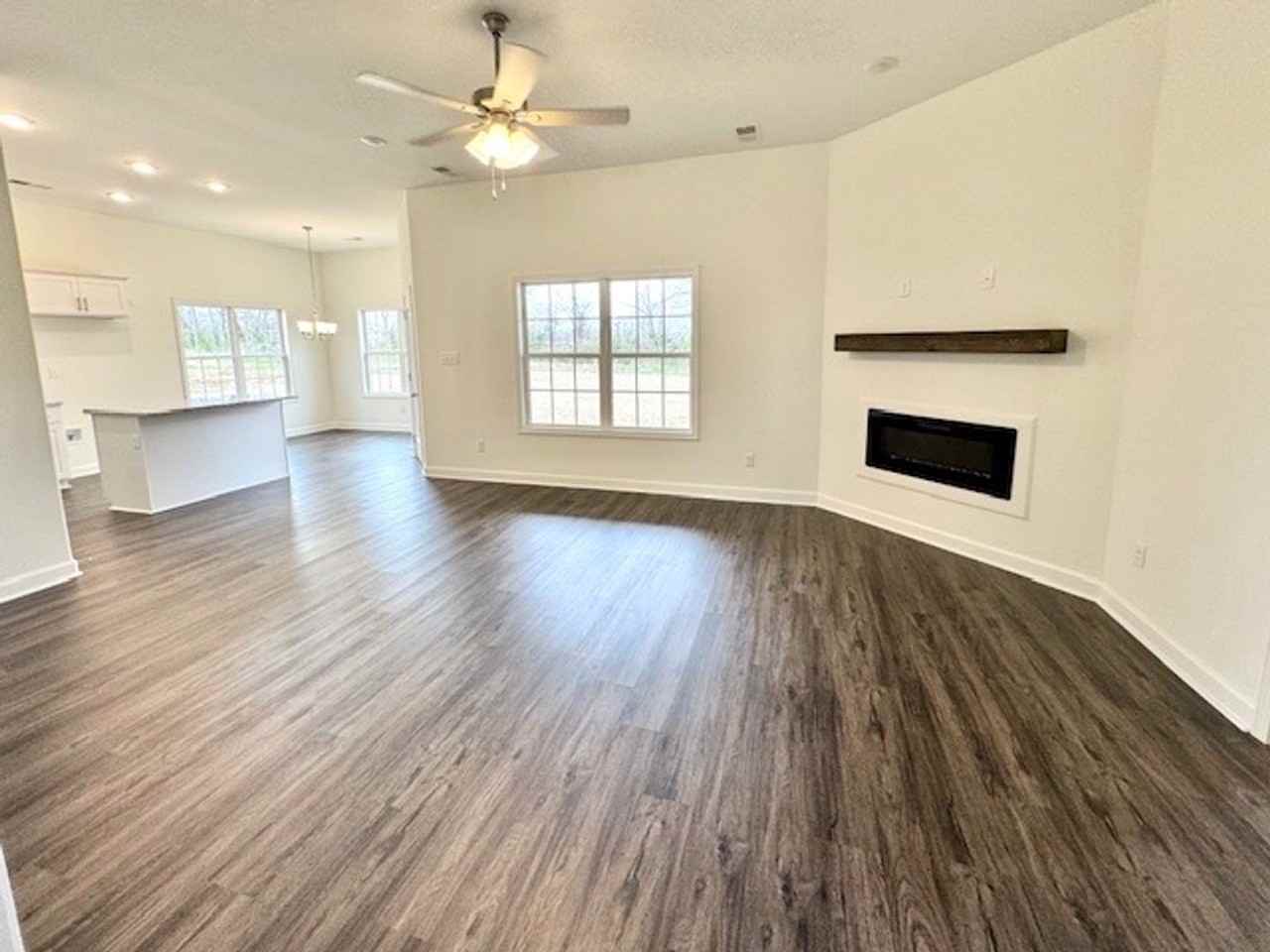 35 Zinnia Cv - Photo 3 of 14