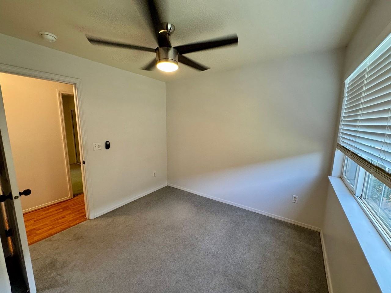 20 Halili Ln - Photo 3 of 18