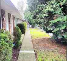 featured image of 2624 Ne 9th Pl