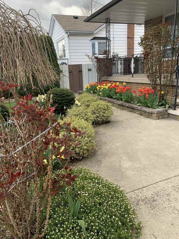19 Owen Pl - Photo 2 of 16