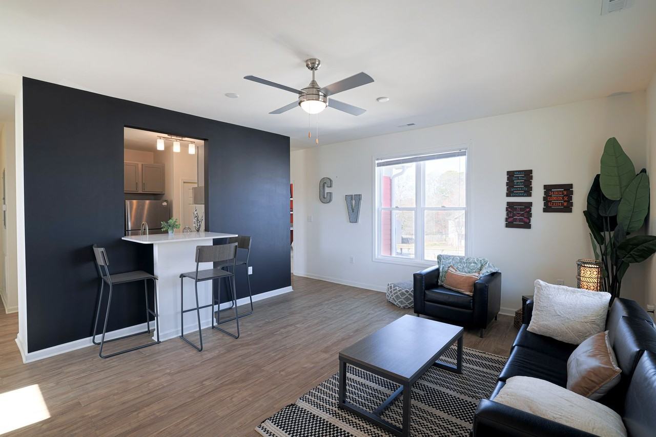 Clemson Village - Photo 4 of 50