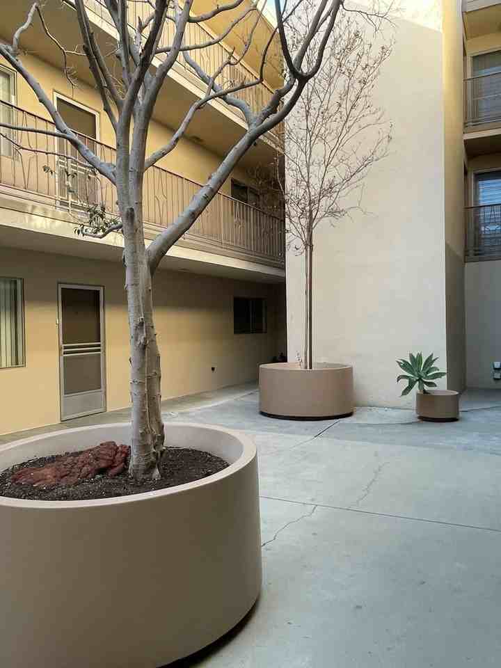 Memorial Apartments - Photo 3 of 16