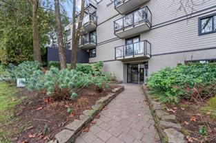 240 Mahon Avenue #105 - Photo 1 of 1