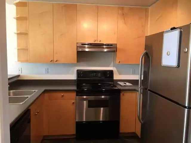 619 Victoria St #404 - Photo 3 of 9