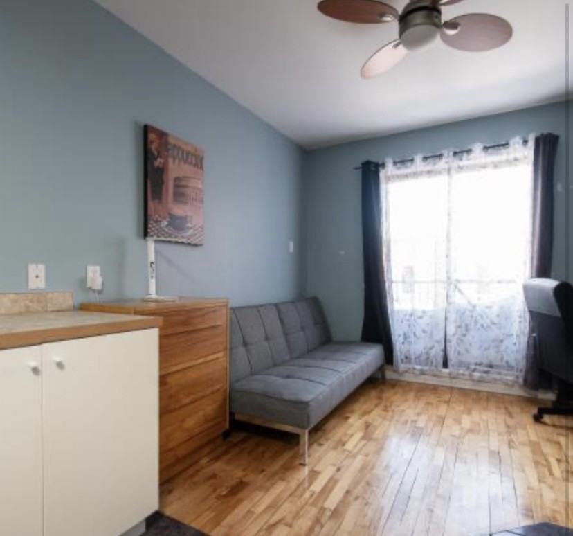 4906 Rue Sainte-Catherine Est - Photo 3 of 6