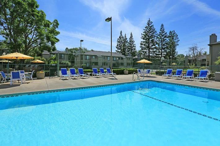 Summer Place - Photo 5 of 50