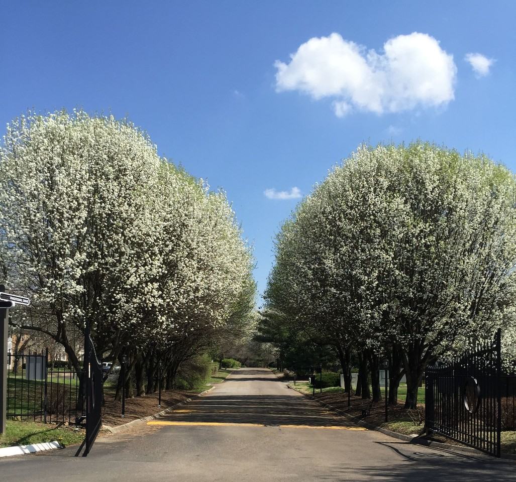 KB Willows LLC - Photo 2 of 50