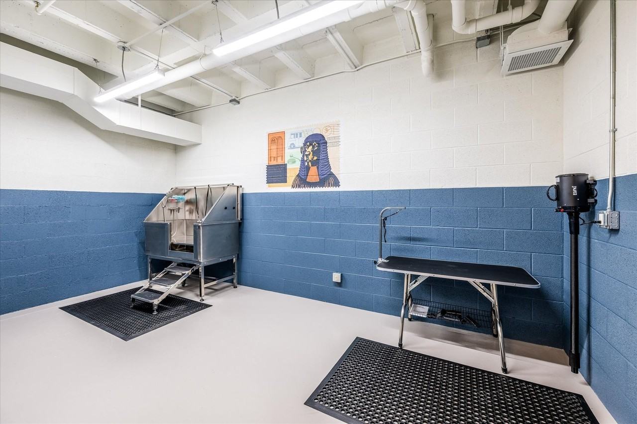 The Archive - Photo 6 of 18