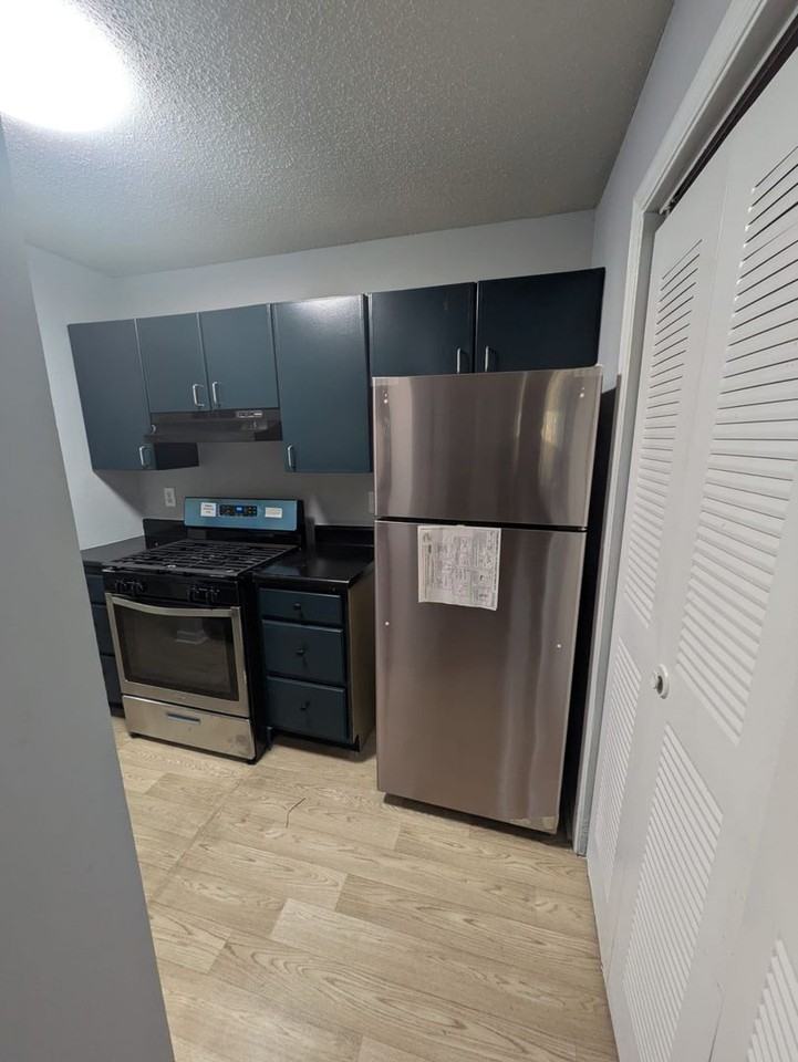 605 Ridge Creek Dr - Photo 6 of 14