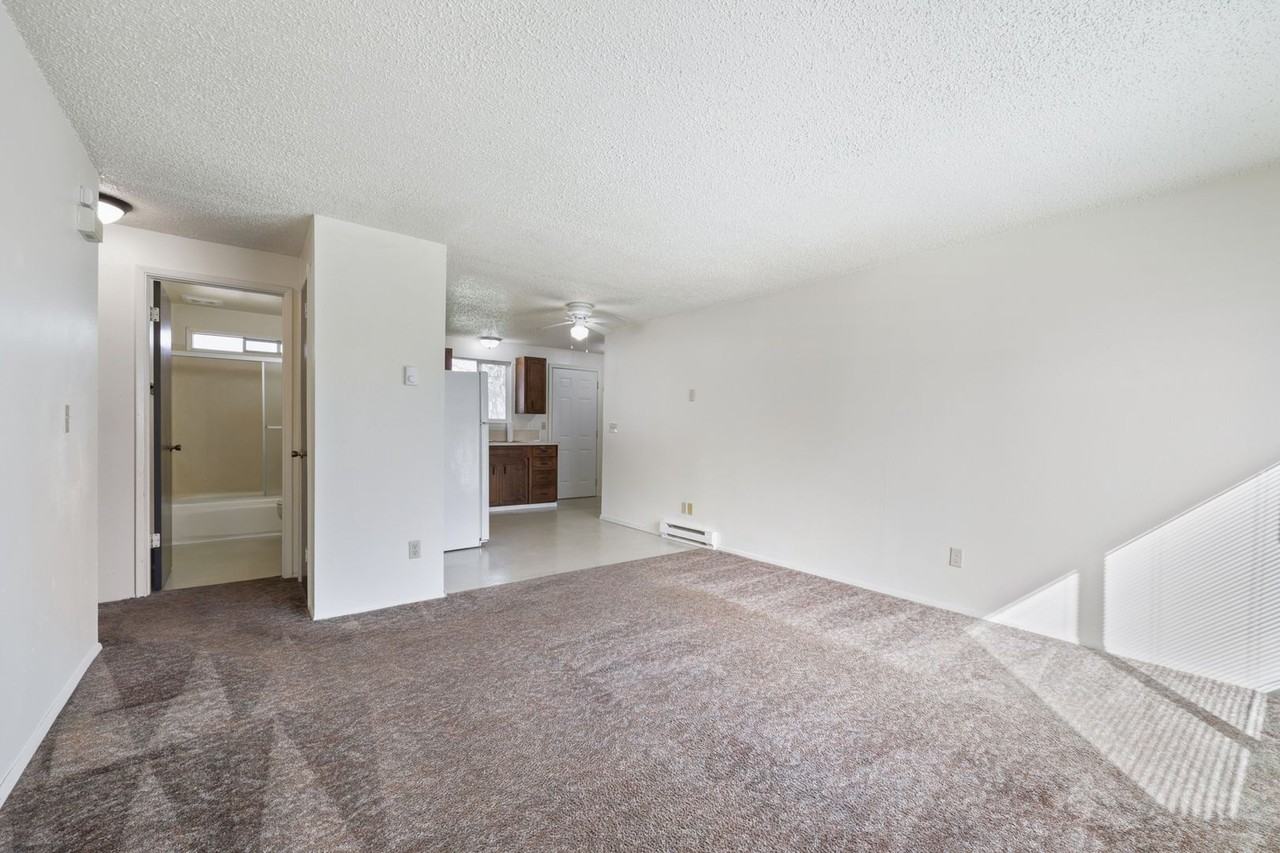 2210 26th Ave Ne #5 - Photo 5 of 22