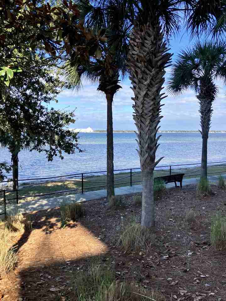 2400 Grandiflora Blvd #E102 - Photo 3 of 20