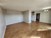 411 Ellerdale St #804 - Photo 1 of 1