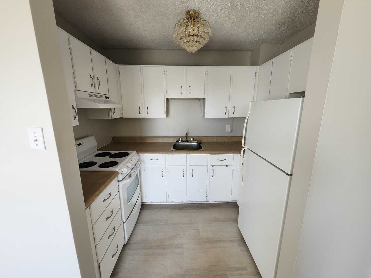 411 Ellerdale St #804 - Photo 3 of 19