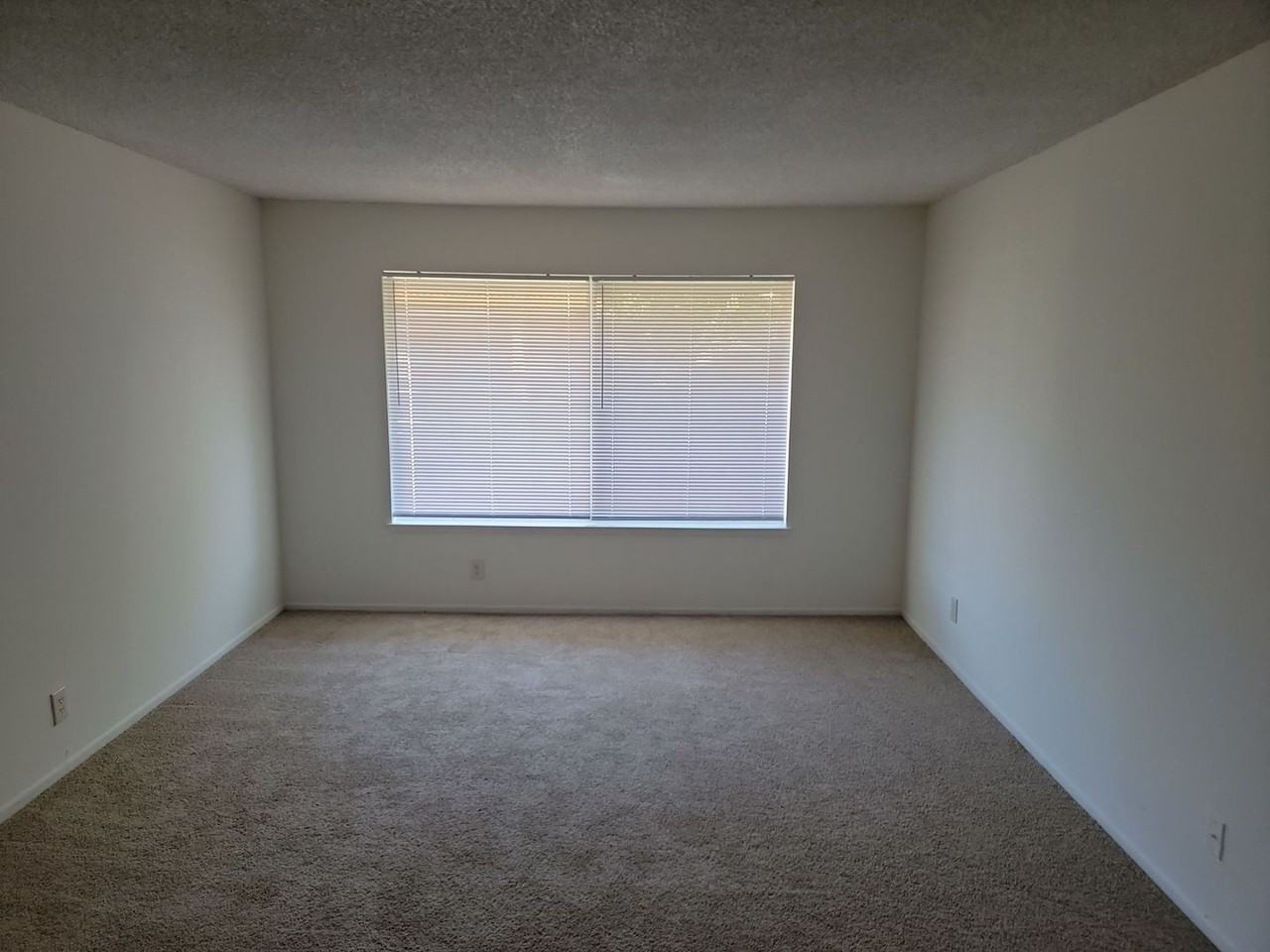 207 W Channel Islands Blvd - Photo 5 of 11