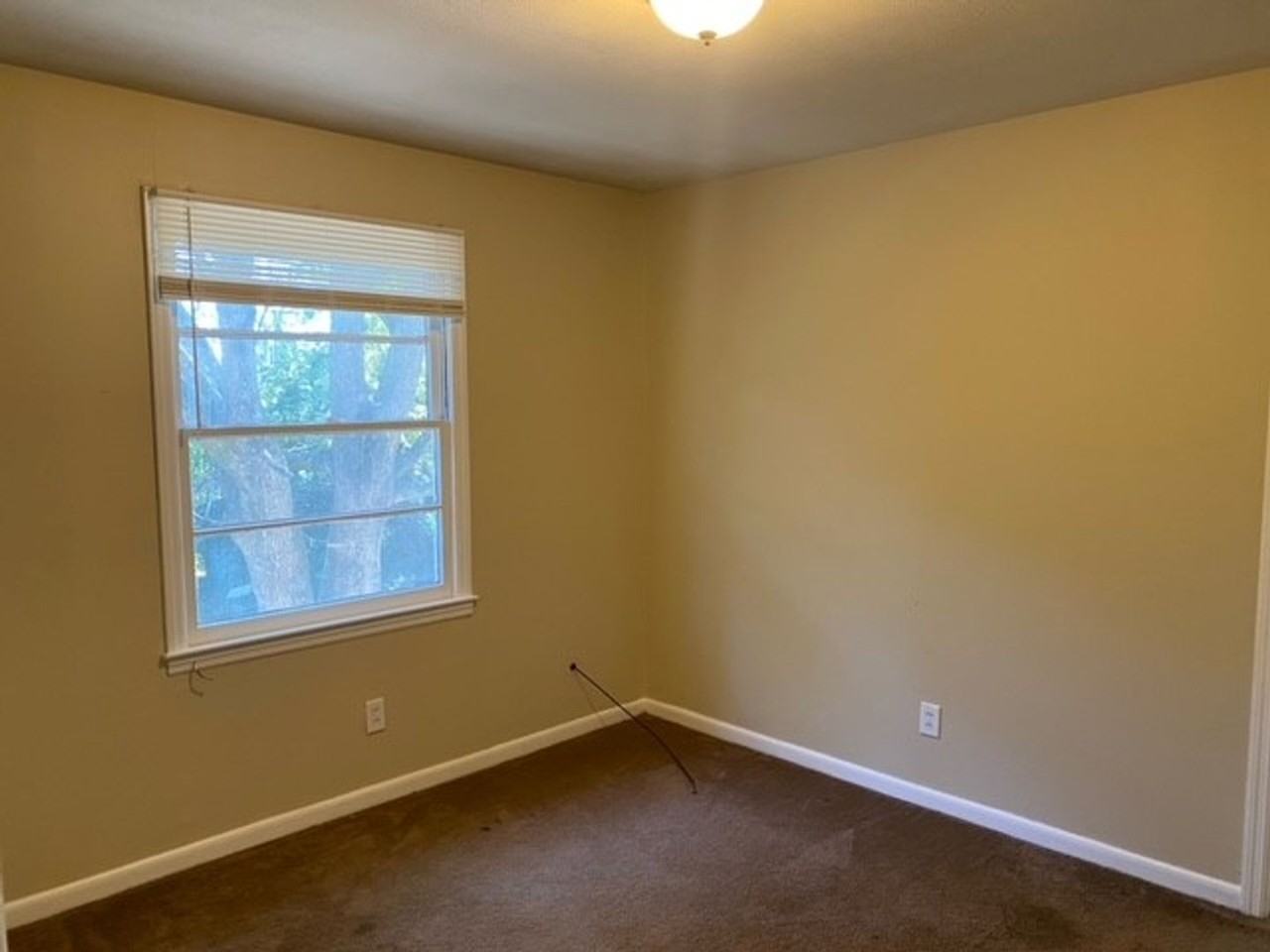 207 1/2 W Force St - Photo 4 of 6