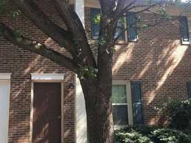 204 Royal Forest Ct - Photo 1 of 1