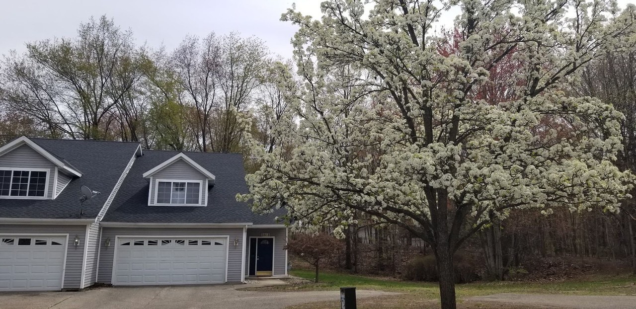 3537 Butternut Dr - Photo 2 of 13