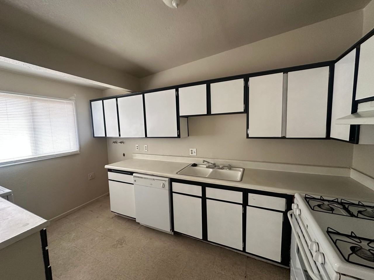 237 Palm Dr - Photo 6 of 14