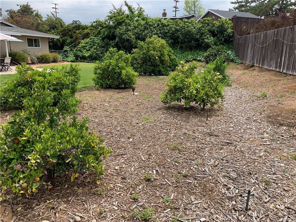 1558 Cameo Dr - Photo 6 of 44