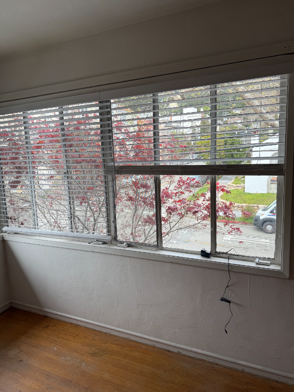 2480 Virginia St #1 - Photo 7 of 19