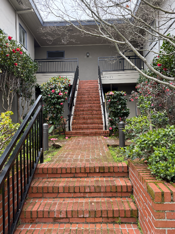 2480 Virginia St #1 - Photo 6 of 19