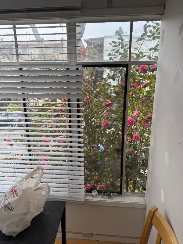 2480 Virginia St #1 - Photo 3 of 19